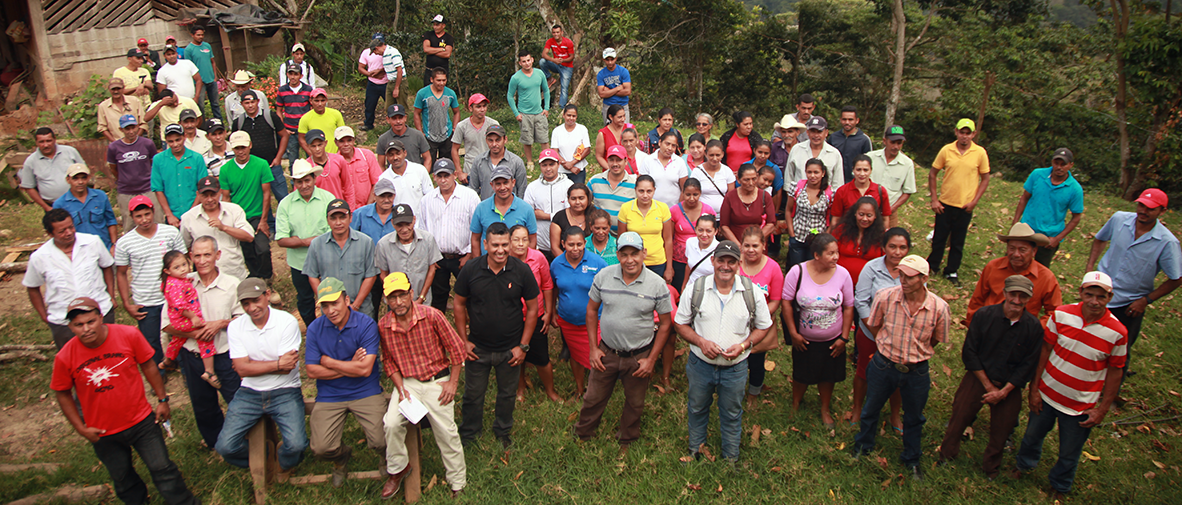 Grupo de productores y productoras de café en reunión comunitaria
